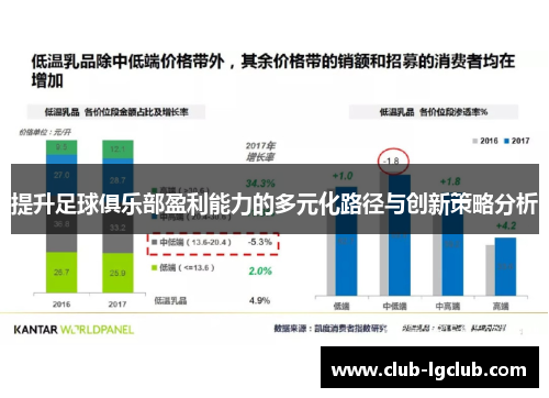 提升足球俱乐部盈利能力的多元化路径与创新策略分析