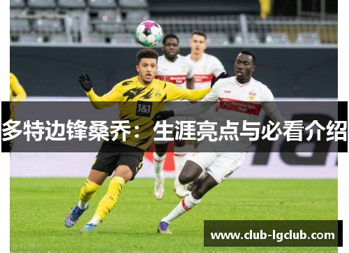 多特边锋桑乔：生涯亮点与必看介绍