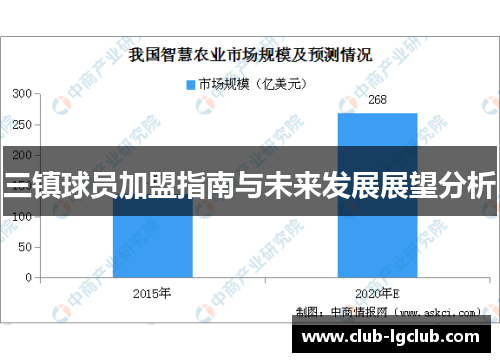 三镇球员加盟指南与未来发展展望分析