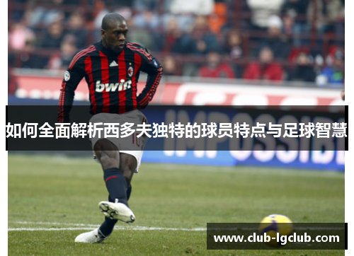 如何全面解析西多夫独特的球员特点与足球智慧