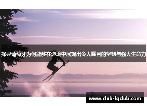 探寻葡萄牙为何能够在逆境中展现出令人瞩目的坚韧与强大生命力